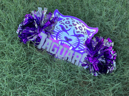 School Cheerstick